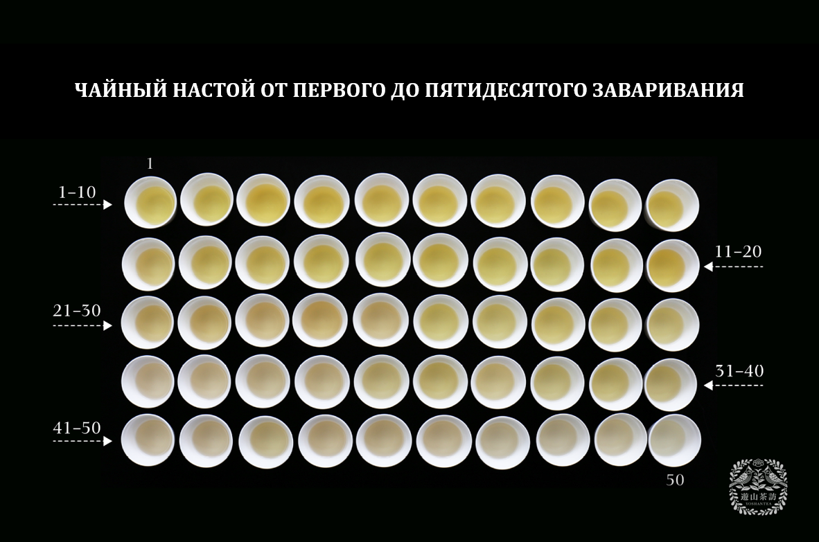 Сколько раз можно заваривать чай проливами? Когда стоит остановиться?